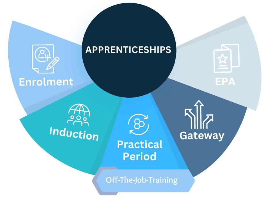 Arods apprenticeship cycle